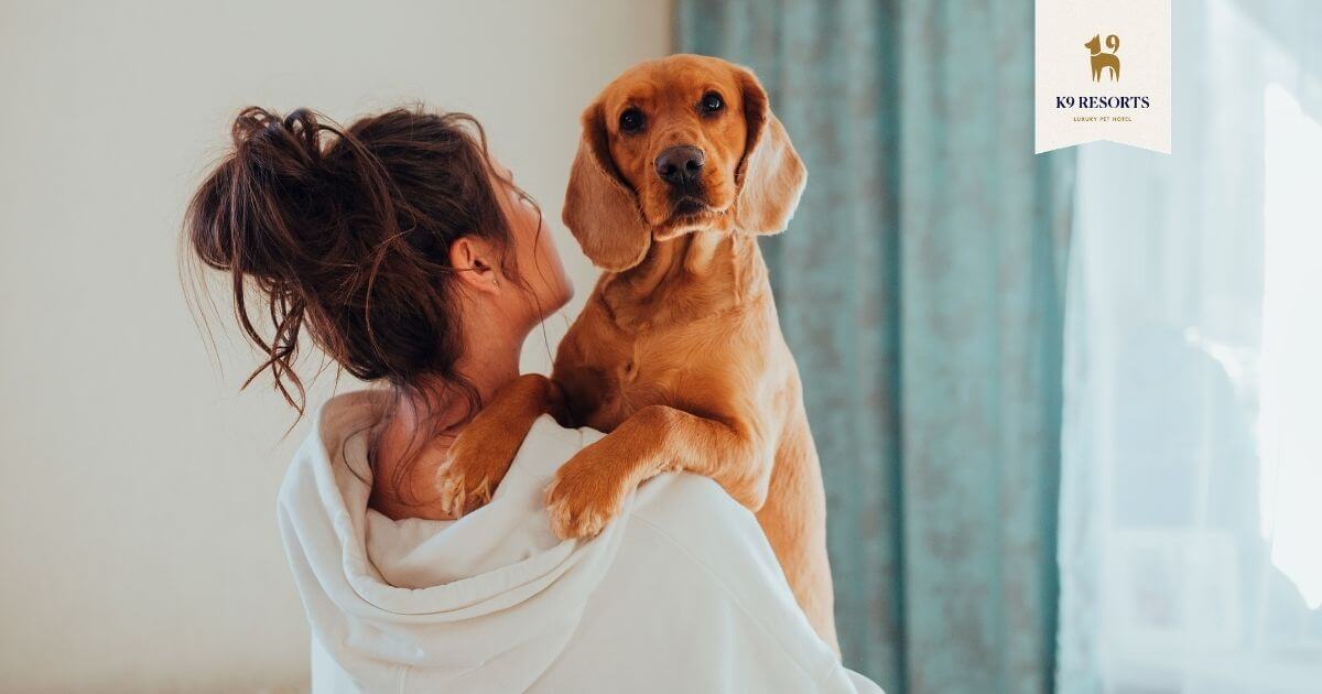 A Guide to Dog Behavior: Why Does My Dog Stand On Me?