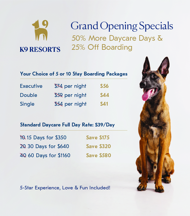 Grand Opening Pricing